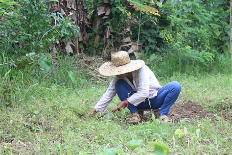 Top 5 challenges faced by Filipino farmers today .